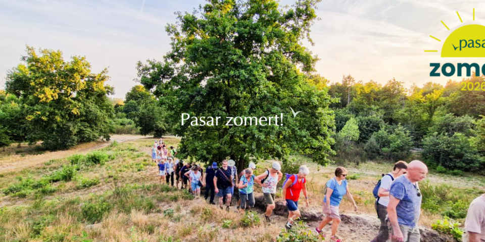 Pasarzomert2026